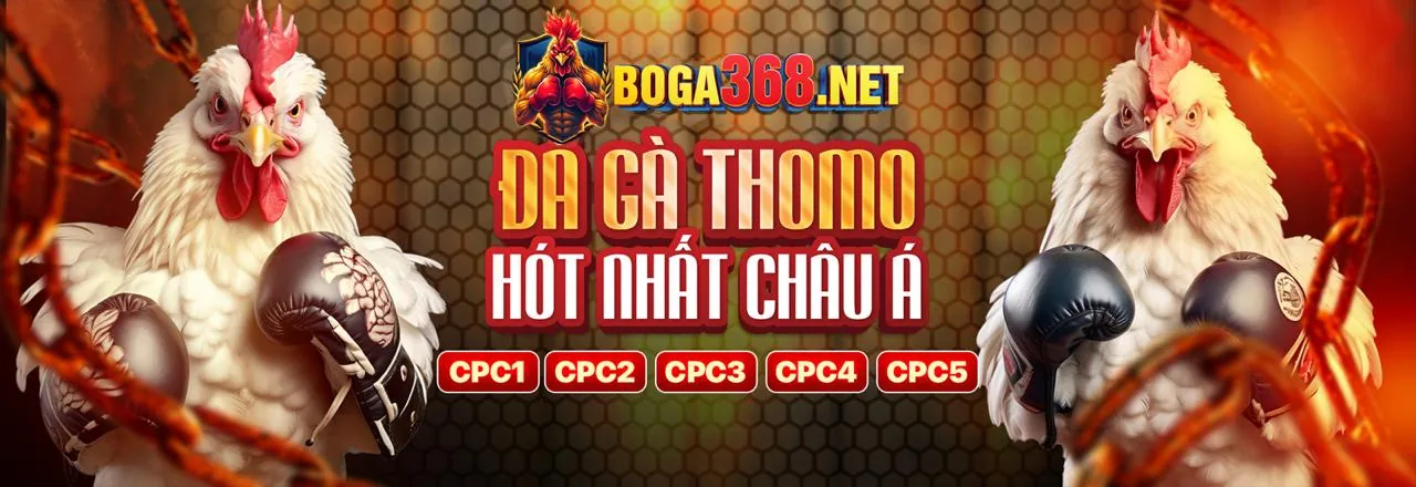 Sự kiện đặc biệt và giải đấu Hi2999